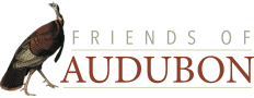 Friends of Audubon