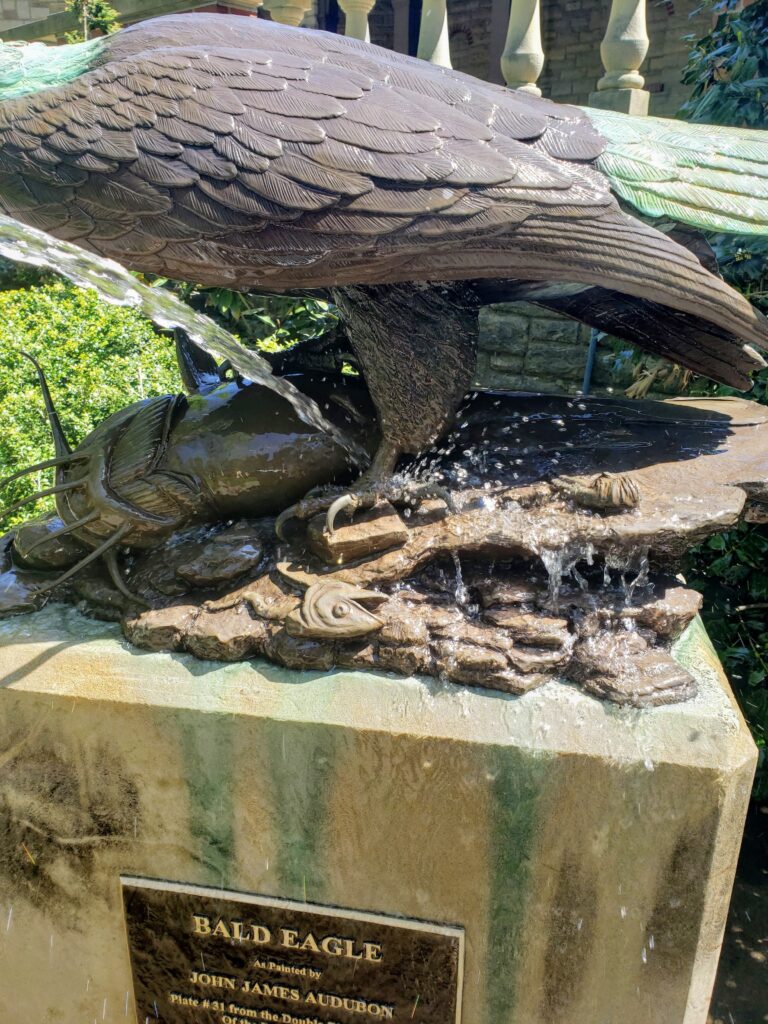 Photograph of rinsing the bald eagle statue with water.
