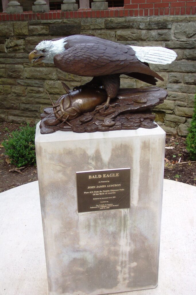 Photograph of the Bald Eagle statue at John James Audubon State Park Museum, created by Raymond Graf in 2008.