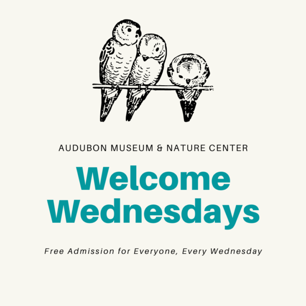 'Welcome Wednesdays' at the Audubon Museum & Nature Center - Friends of ...